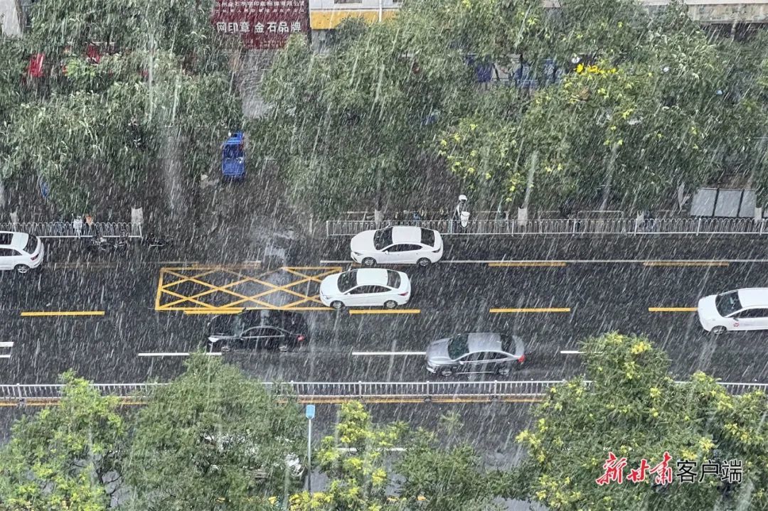 第301页