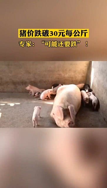 港澳新闻 第32页