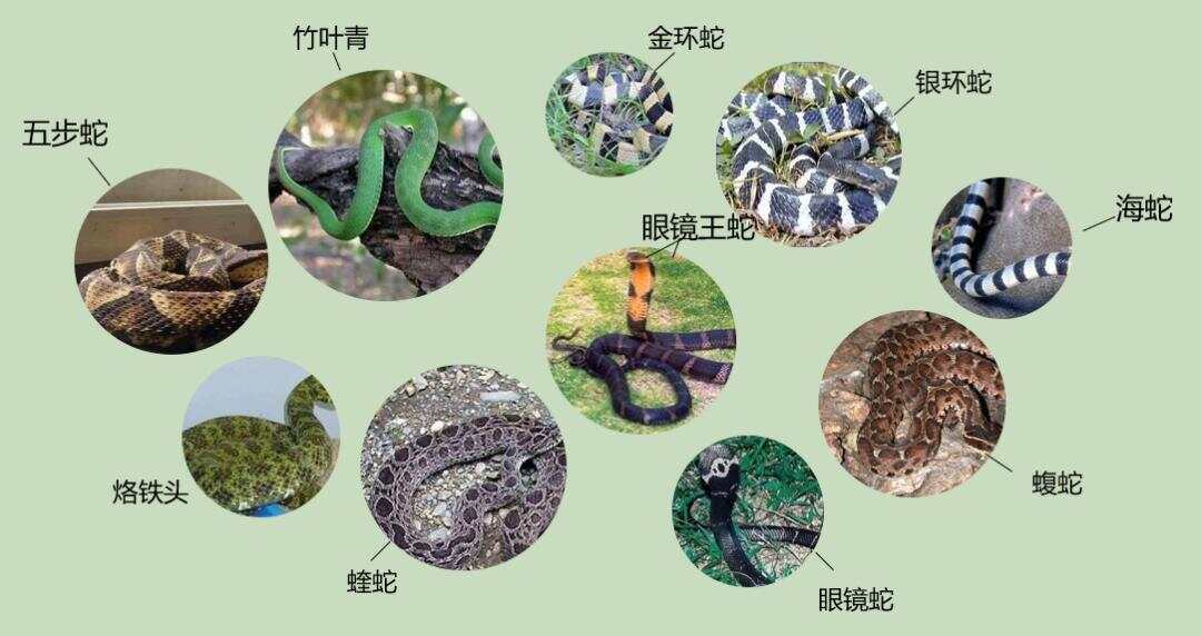 热点生活 第23页