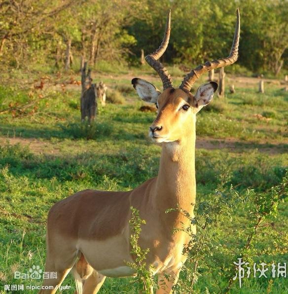 热点生活 第7页